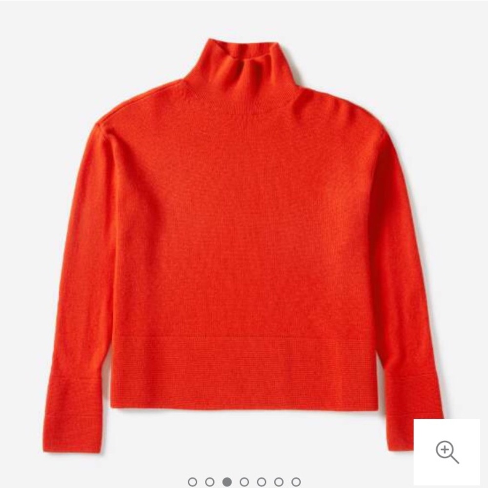 Everlane Cashmere Square Turtleneck